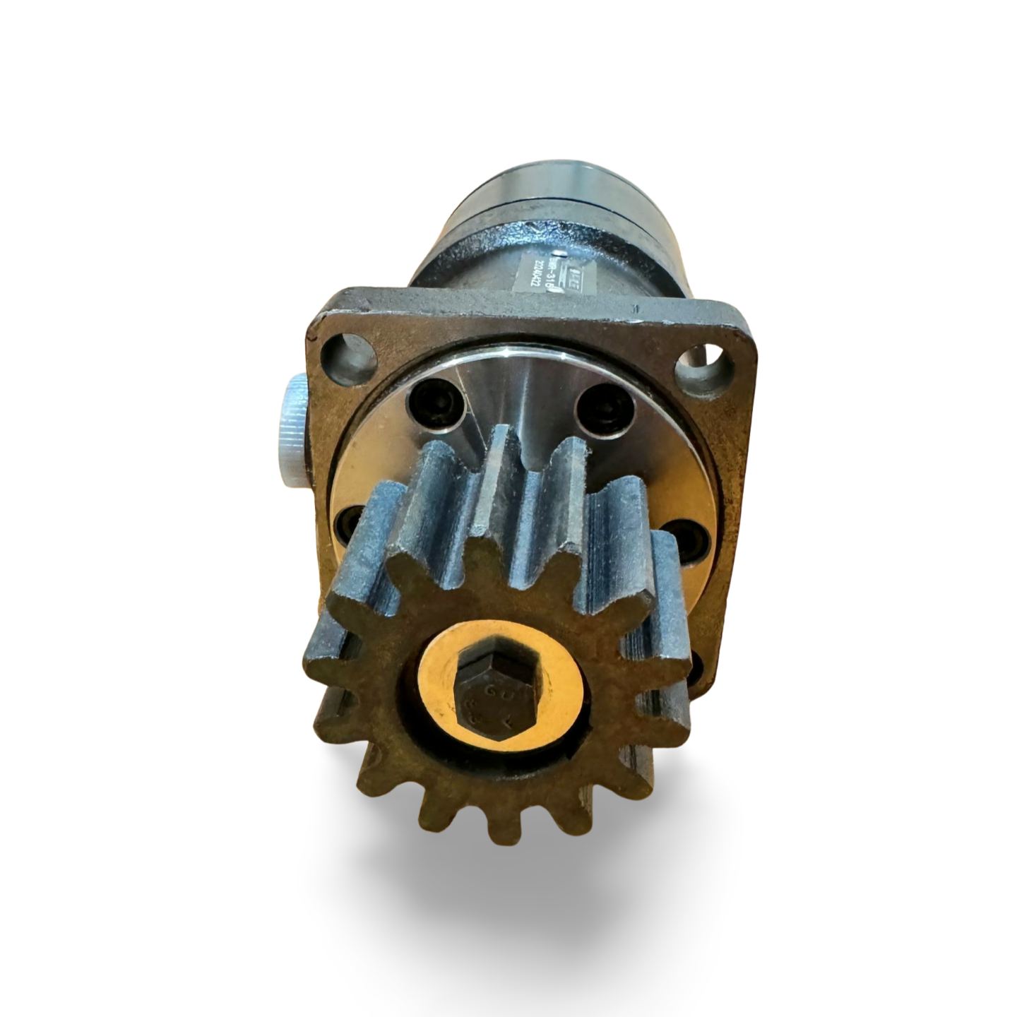 Swing Motor - Dumpling