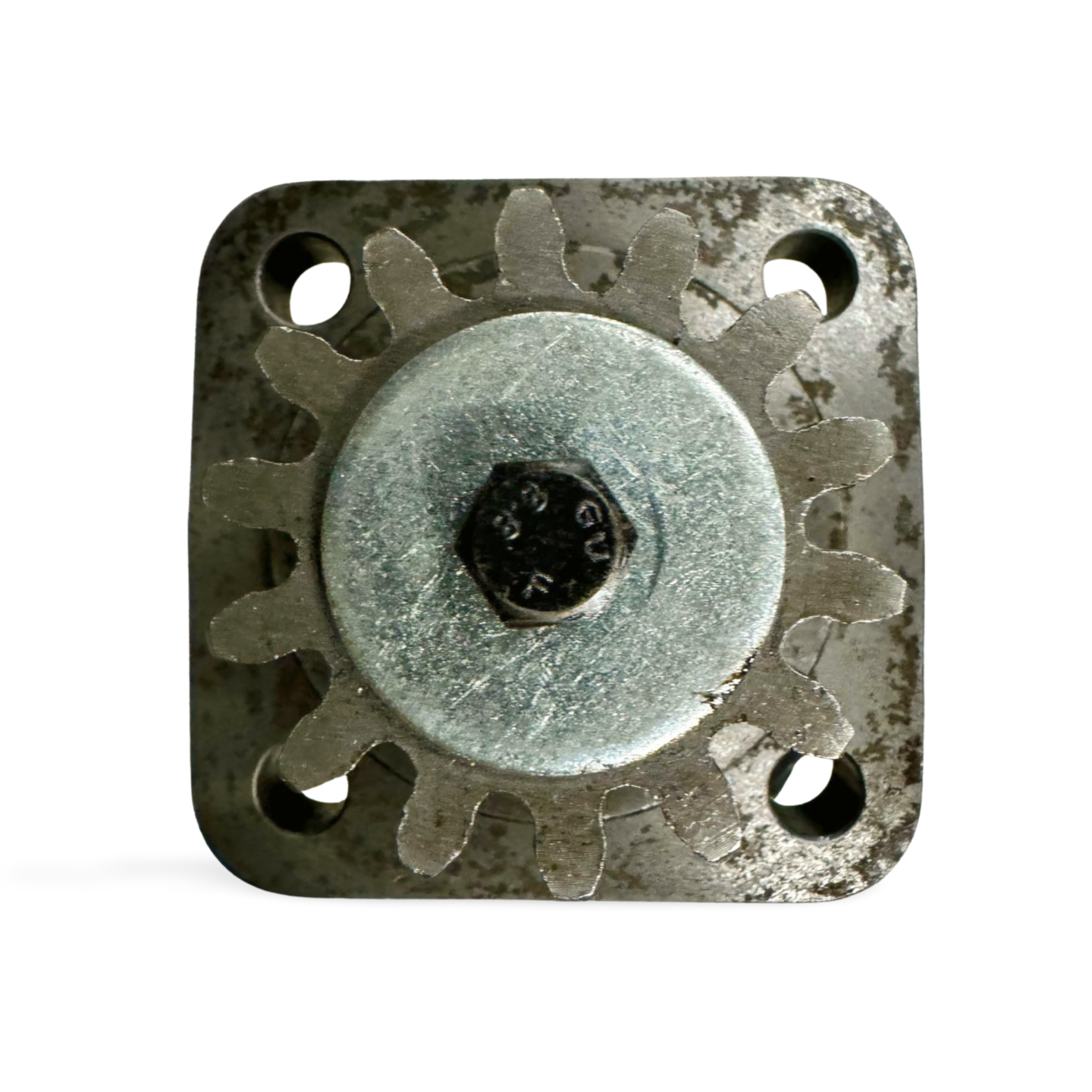 Swing Motor - Dumpling
